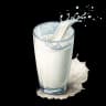 milk