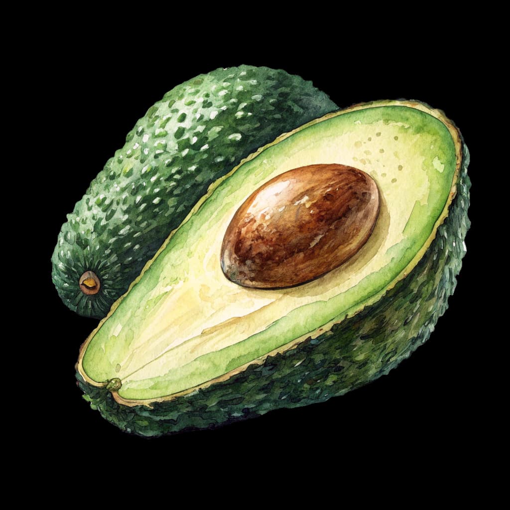 avocado
