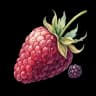 berry