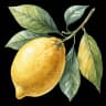 lemon