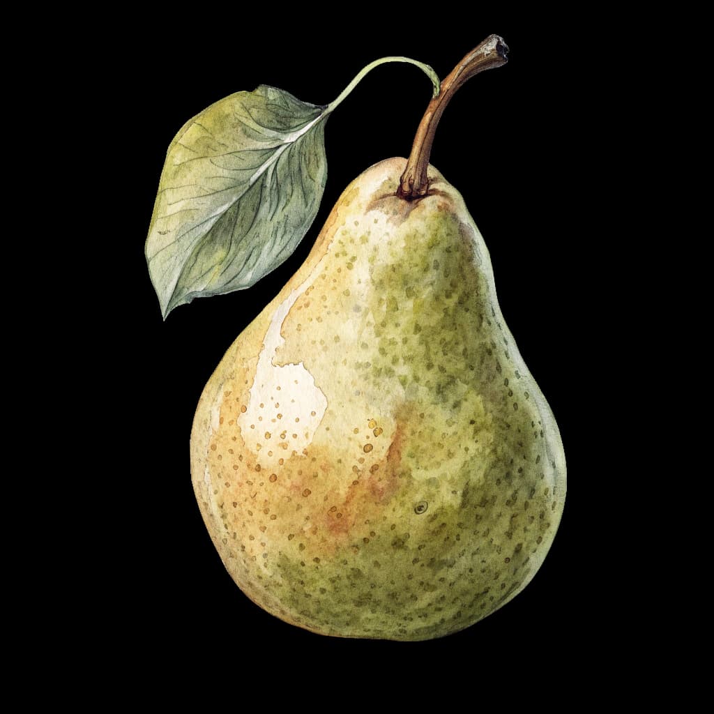 pear