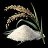 rice