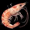 shrimp