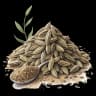 cumin