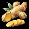 ginger