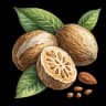 nutmeg