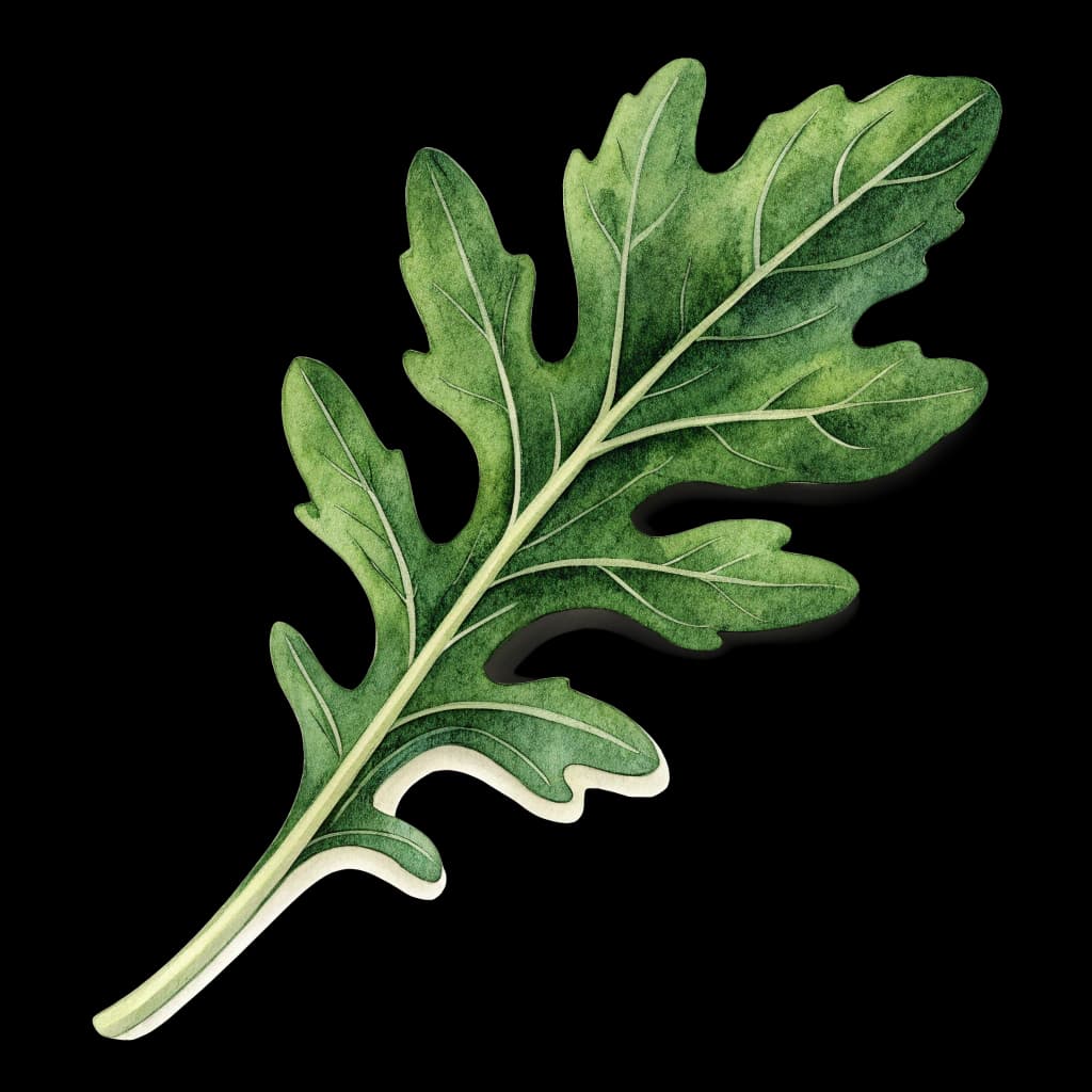 arugula