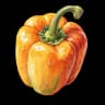bell pepper