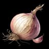 onion